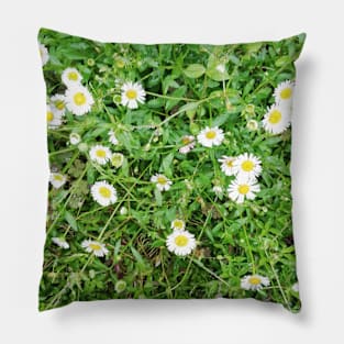 sweet little daisies Pillow