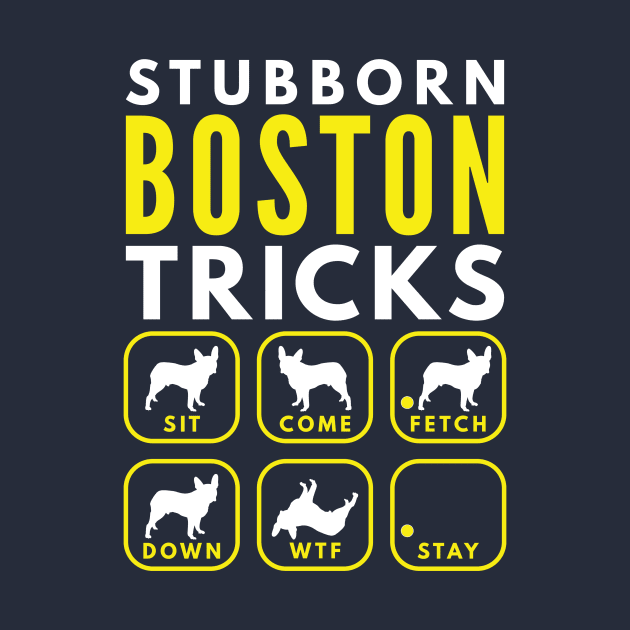 Stubborn Boston Tricks - Dog Training by DoggyStyles