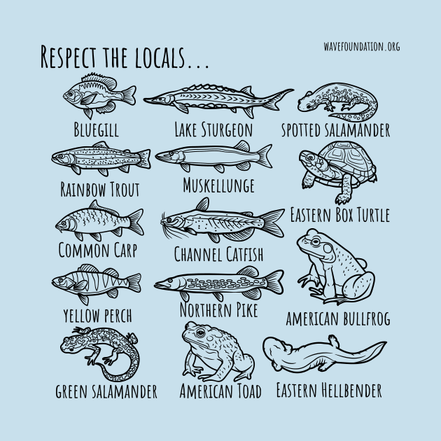 Respect the Locals by WAVE Foundation at Newport Aquarium