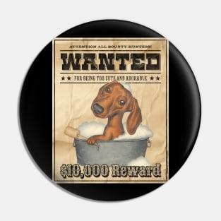Funny Cute Doxie Dachshund Dog Wanted Poster Pin