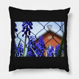 Grape Hyacinth at the Red Brick Schoolhouse Pillow