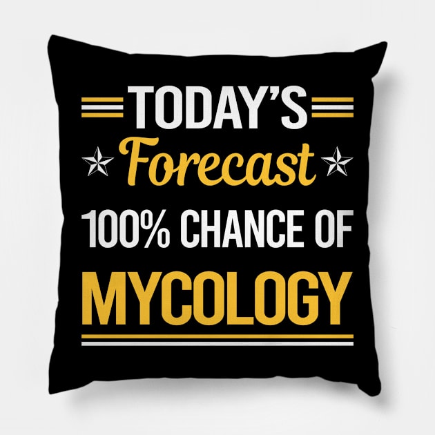 Today Forecast Mycology Mycologist Mushrooms Pillow by relativeshrimp