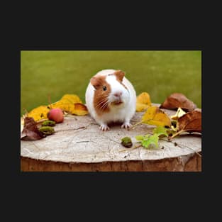 Hamster on the Stub T-Shirt