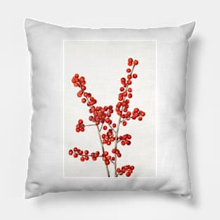 Winterberry - Botanical Illustration Pillow