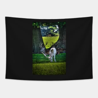 White Fallow Deer Tapestry