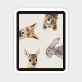 Peekaboo animals Rabbit Fox Bear Deer Magnet