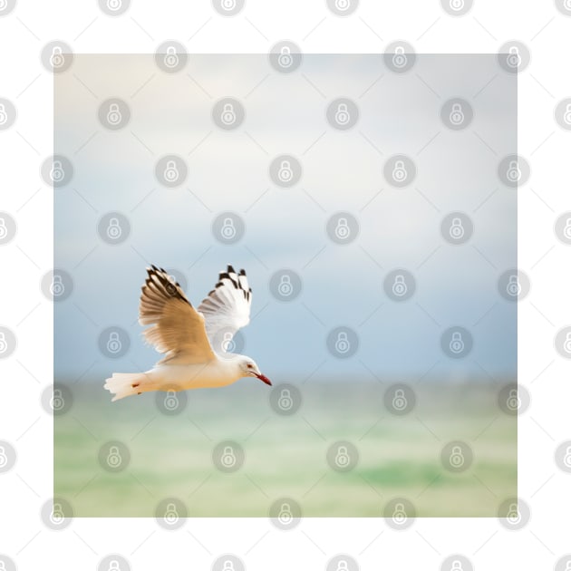 Seagull Flying Over Ocean by THP Creative