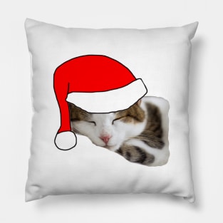 Christmas Cat in a Santa Hat Pillow