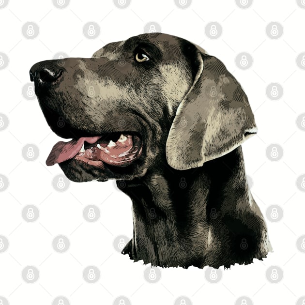 Weimaraner dog by Nartissima