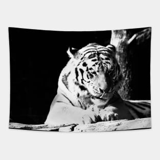 Year of the tiger 2022 / 1 /  Swiss Artwork Photography Tapestry