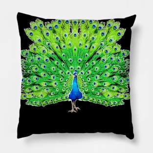 Proud as a Peacock Pillow