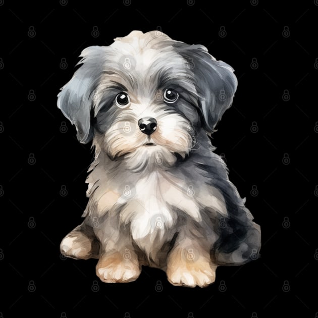 Puppy Havanese by DavidBriotArt