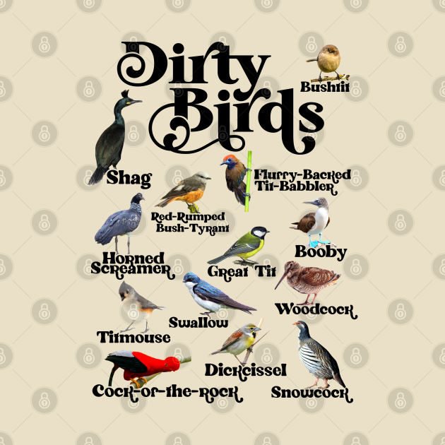 Dirty Birds & Foul Language Birds TShirt TeePublic