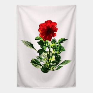 Red Gerbera Daisy Tapestry