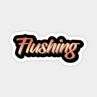 Flushing Magnet