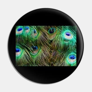 Peacock Feathers Pin