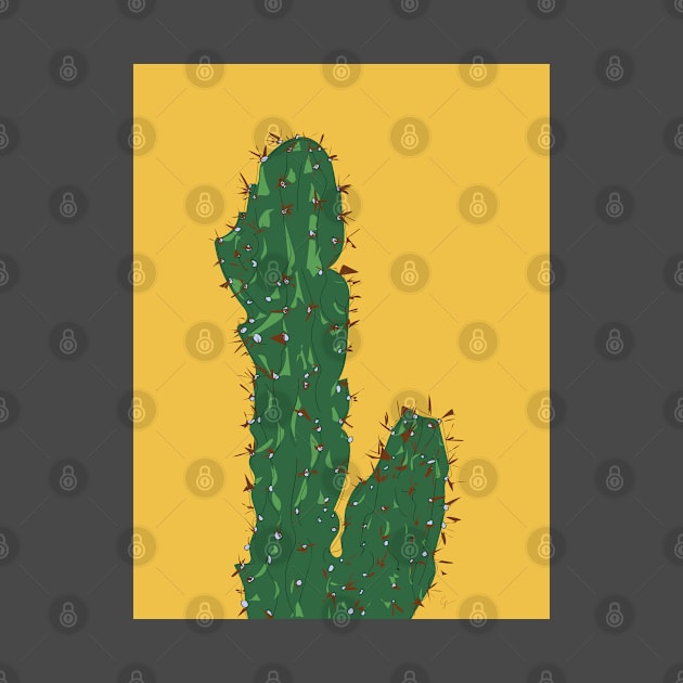 Cactus in Mexico City by lymancreativeco