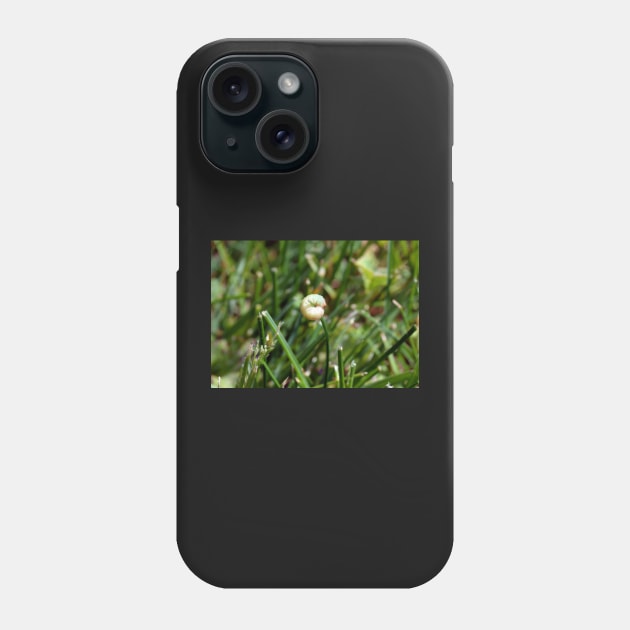 Holding on for Dear Life - Remix Phone Case by tessiaphoto