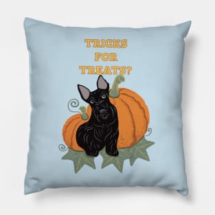 Scottie Dog Halloween Trick or Treat Pillow