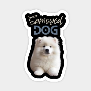 Samoyed Dog, for Samoyed lovers that whant to show it! Magnet