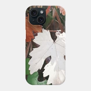 Colored leaves,  autumn, fall, leaves, leaf, Xmas, Christmas, spring, leaves decor, Phone Case