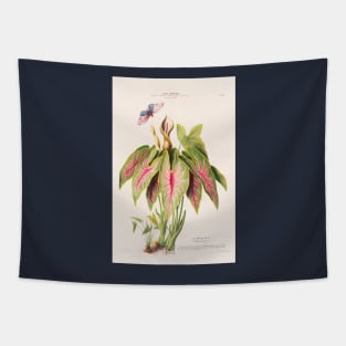 Caladium Bicolor - Flore d’Amérique - Botanical Illustration Tapestry