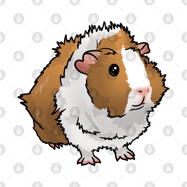 Light Dutch Abyssinian Guinea Pig by Kats_guineapigs