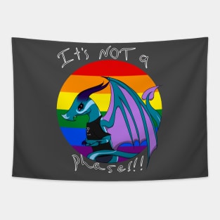 it's not a phase pride Tapestry
