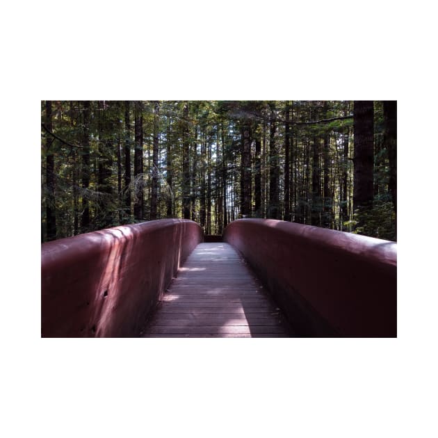 Lady Bird Johnson Grove bridge by blossomcophoto