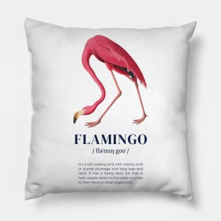 Flamingo - Animal Dictionary Definition Pillow