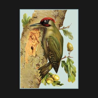European green woodpecker - Picus viridis. T-Shirt