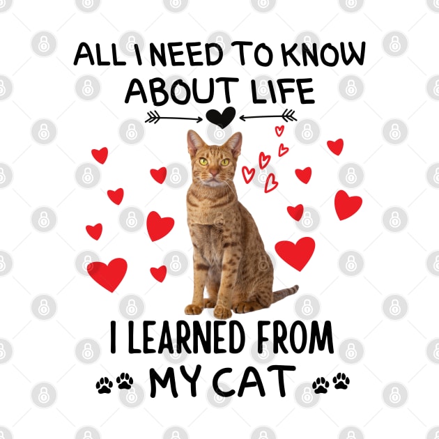 All I Need To Know About Life I Learned From My Cat by Prossori