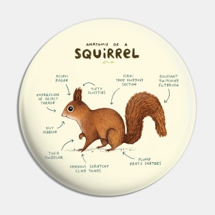 Anatomy of a Squirrel Pin