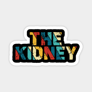 Retro Color - The kidney Magnet