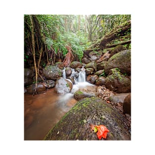 Waterfall in the Forest T-Shirt