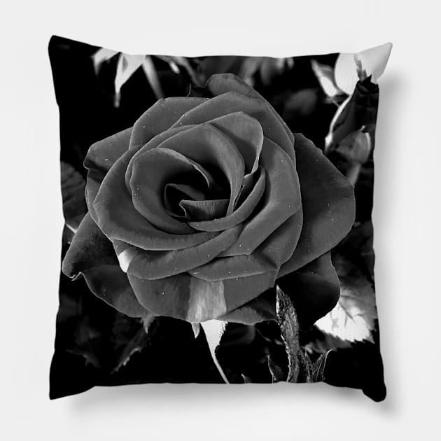 Roses Outside the Store in Black and White Pillow by Ric1926