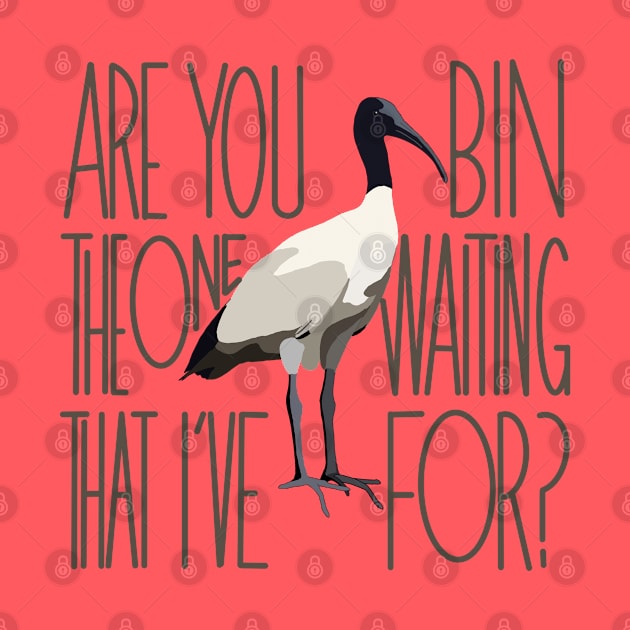 Are You The One That I’ve Bin Waiting For? (bin chicken, ibis) by Kary Pearson