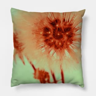 Dandelion II Pillow