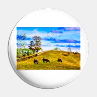 Cattle Grazing Rural Pastures Pin