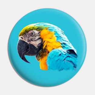 Macaw portrait Pin