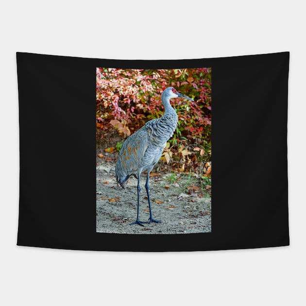 Crane's Walkabout Tapestry by Colette22