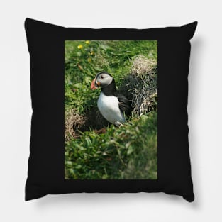 Emerging puffin Pillow