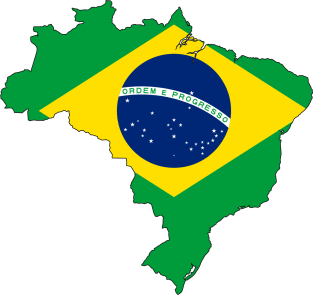 Brasil Flag Magnet