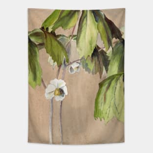 May Apple by Hannah Borger Overbeck Tapestry