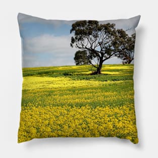 Canola Field Pillow