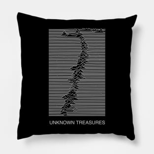 Unknown Treasures Pillow