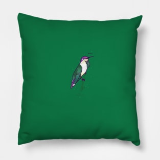 Hmmming Bird Pillow