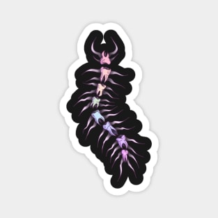 Rainbow Toothy Centipede Magnet