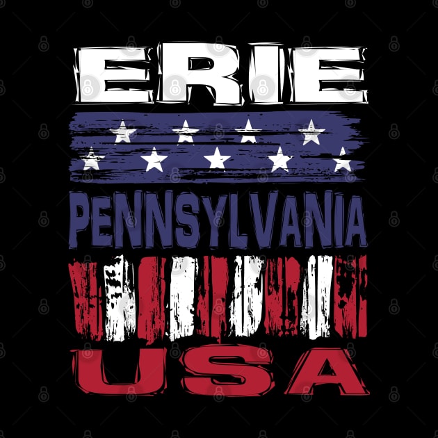 Erie Pennsylvania USA T-Shirt by Nerd_art