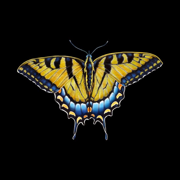 Swallowtail Butterfly by Tim Jeffs Art